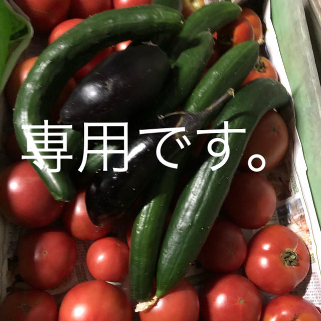 野菜セット 食品/飲料/酒の食品(野菜)の商品写真
