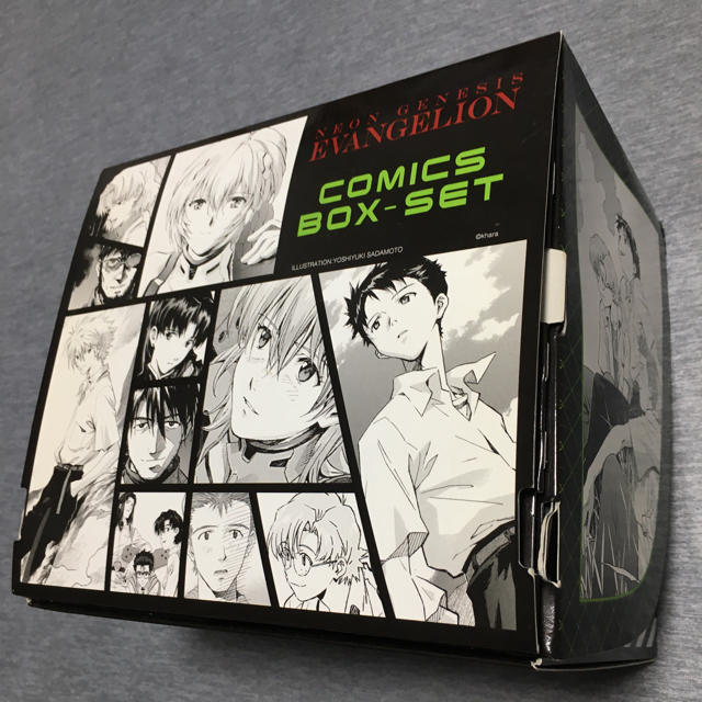 角川書店(カドカワショテン)のエヴァンゲリオン コミックスBOXセット エンタメ/ホビーの漫画(青年漫画)の商品写真