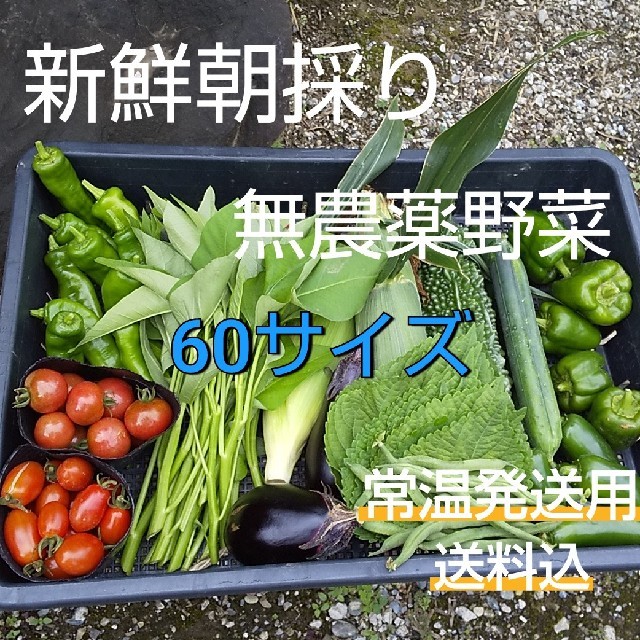 野菜箱詰め【野菜おまかせ♪野菜お試しセット】無農薬野菜 食品/飲料/酒の食品(野菜)の商品写真