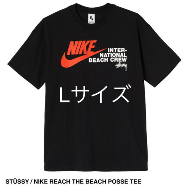 メンズstussy nike tシャツ