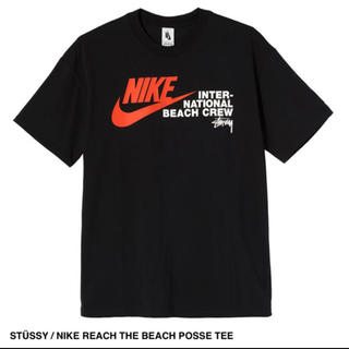ステューシー(STUSSY)のM size STUSSY ナイキ Tシャツ ステューシー(Tシャツ/カットソー(半袖/袖なし))