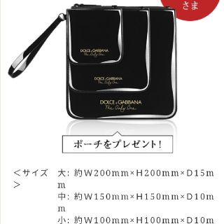 ドルチェアンドガッバーナ(DOLCE&GABBANA)の8/24特価☆ドルチェ＆ガッバーナ　d＆g　非売品　未使用　ポーチ　セット(ポーチ)