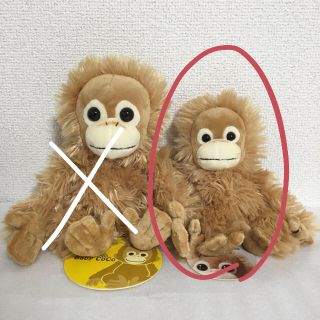 ココ(Coco)のベイビーココ　ぬいぐるみ　小(ぬいぐるみ)