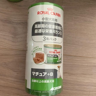 ロイヤルカナン(ROYAL CANIN)のロイヤルカナン　マチュア+8 缶詰　生産終了(ペットフード)