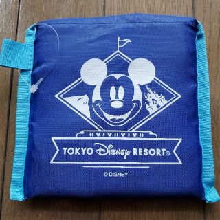 ディズニー(Disney)のkaiさま専用DISNEYLANDエコバッグ(エコバッグ)