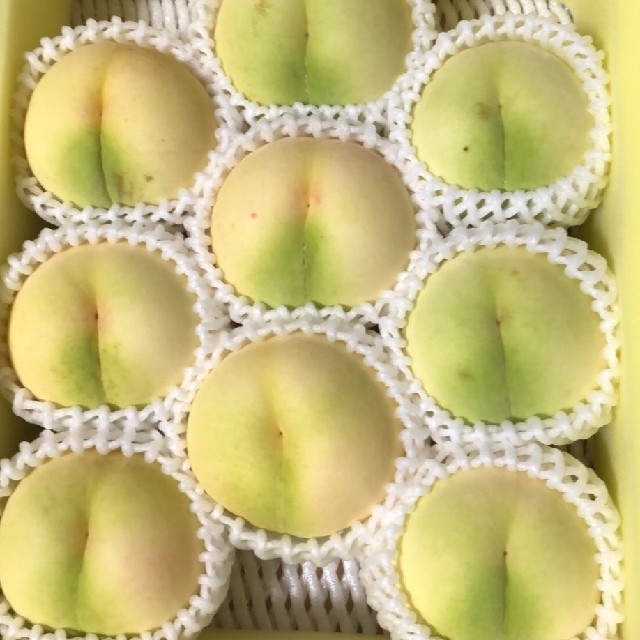 岡山県産清水白桃 食品/飲料/酒の食品(フルーツ)の商品写真