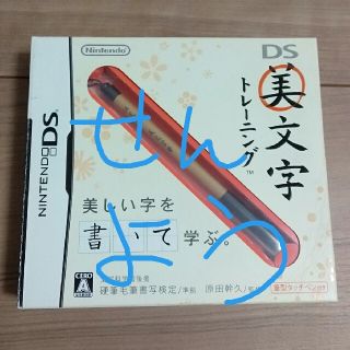 専用　DS美文字トレーニング DS(携帯用ゲームソフト)