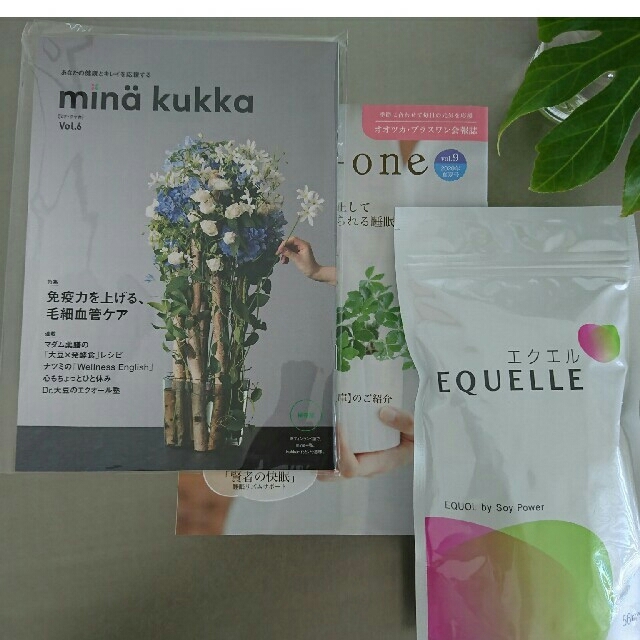 エクエル 大袋品  EQUELLE  大塚製薬  224粒