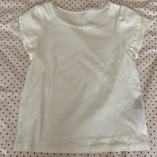 フランシュリッペ(franche lippee)のフランシュリッペ　袖レースの半袖シャツ(Tシャツ(半袖/袖なし))