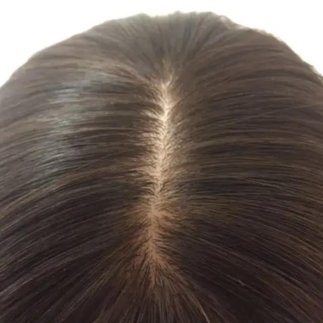 高級人毛100%】前髪付き引き抜き総手植え薄毛白髪隠しヘアピース 高級人毛100%】前髪付き引き抜き総手植え薄毛白髪隠しヘアピース