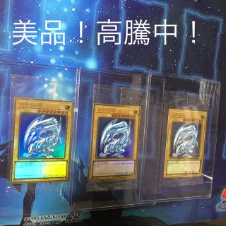 ユウギオウ(遊戯王)の遊戯王 青眼の白龍プレゴル3枚✩.*˚(カード)