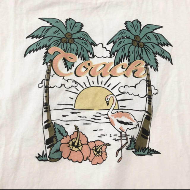 coachレディースTシャツ 1