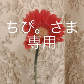 ちぴ。さま専用(その他)