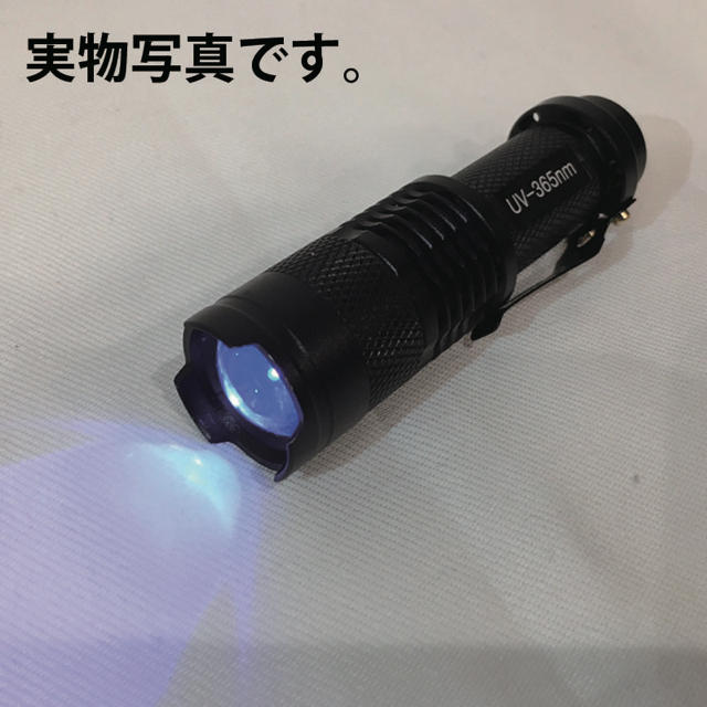 365nm 小型 ブラックライト 紫外線 UV レジン硬化 LED ライト スポーツ/アウトドアのアウトドア(ライト/ランタン)の商品写真