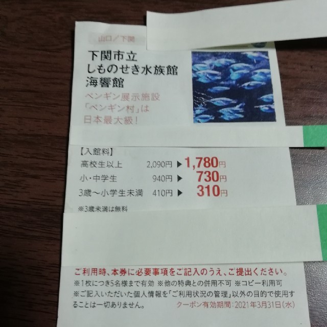 しものせき水族館　海響館　山口県　下関市　310円割引き　5名まで　　 チケットの施設利用券(水族館)の商品写真