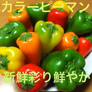 ☆数量限定☆広島県産無農薬自然栽培 色彩り鮮やか新鮮野菜カラーピーマンセット(野菜)