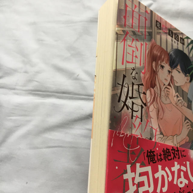 小説きみは面倒な婚約者 エンタメ/ホビーの漫画(女性漫画)の商品写真