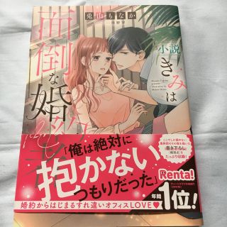 小説きみは面倒な婚約者(女性漫画)