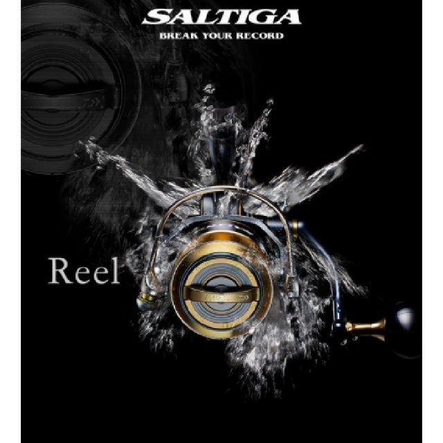 現品限り一斉値下げ！ DAIWA 20ソルティガ8000h - リール 