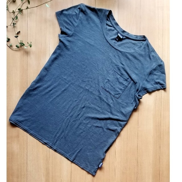 patagonia(パタゴニア)の【激安】patagonia/パタゴニア⭐Tシャツ⭐ウィメンズMサイズ レディースのトップス(Tシャツ(半袖/袖なし))の商品写真