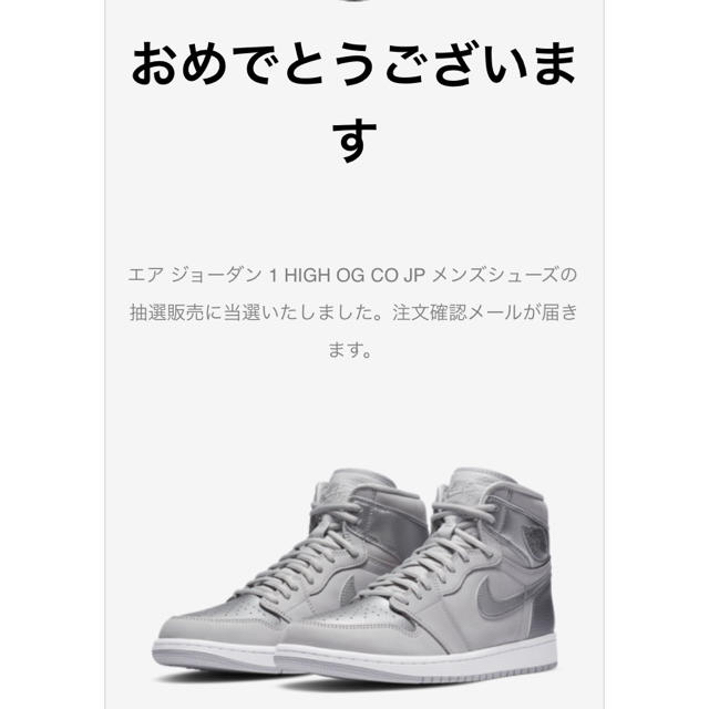 NIKE(ナイキ)のエアジョーダン 1 NIKE AIR JORDAN1 Tokyo シルバー メンズの靴/シューズ(スニーカー)の商品写真