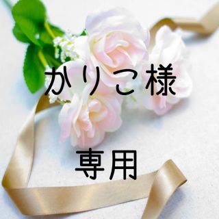 かりこ様専用  お米　令和元年　愛媛県産コシヒカリ　玄米　30㎏ (米/穀物)