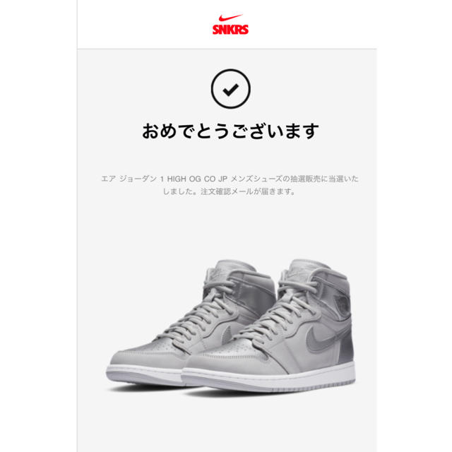 NIKE(ナイキ)のaj1 tokyo 2足　専用 メンズの靴/シューズ(スニーカー)の商品写真