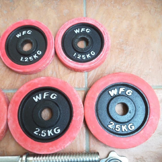 WFG  ダンベル　10㎏×2 スポーツ/アウトドアのトレーニング/エクササイズ(トレーニング用品)の商品写真