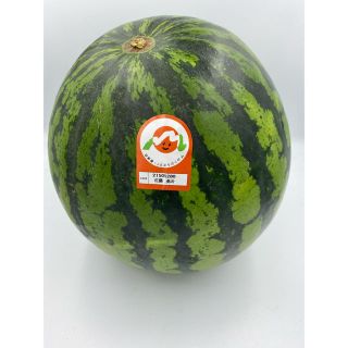 山形県産　尾花沢西瓜🍉B6L 1玉　約10㎏前後(フルーツ)