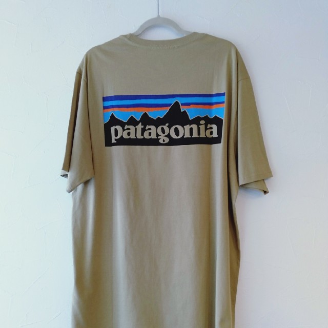 パタゴニア　オーガニックコットン　Tシャツ