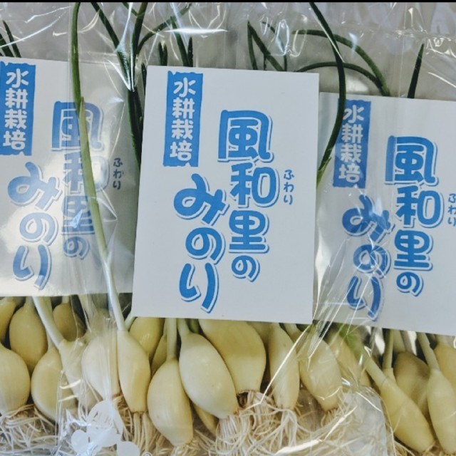 友芽にんにくシリーズ【osaka様専用】 食品/飲料/酒の食品(調味料)の商品写真