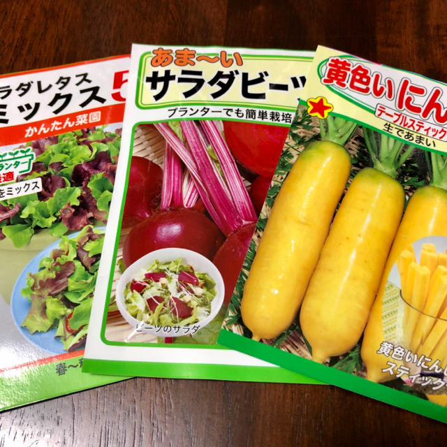 『今がまき時』　プランターでも栽培できる野菜サラダ種❗️❗️ 食品/飲料/酒の食品(野菜)の商品写真