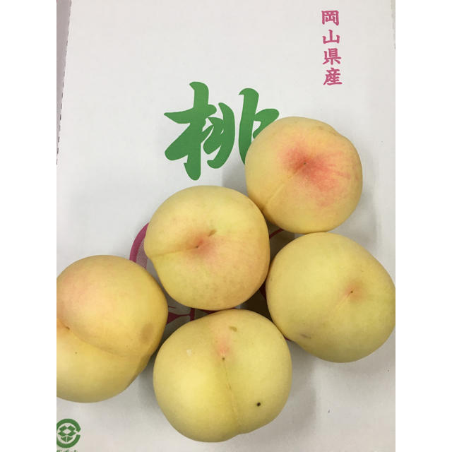 4）清水白桃　白桃　桃　多少訳あり　岡山県産　一宮 食品/飲料/酒の食品(フルーツ)の商品写真