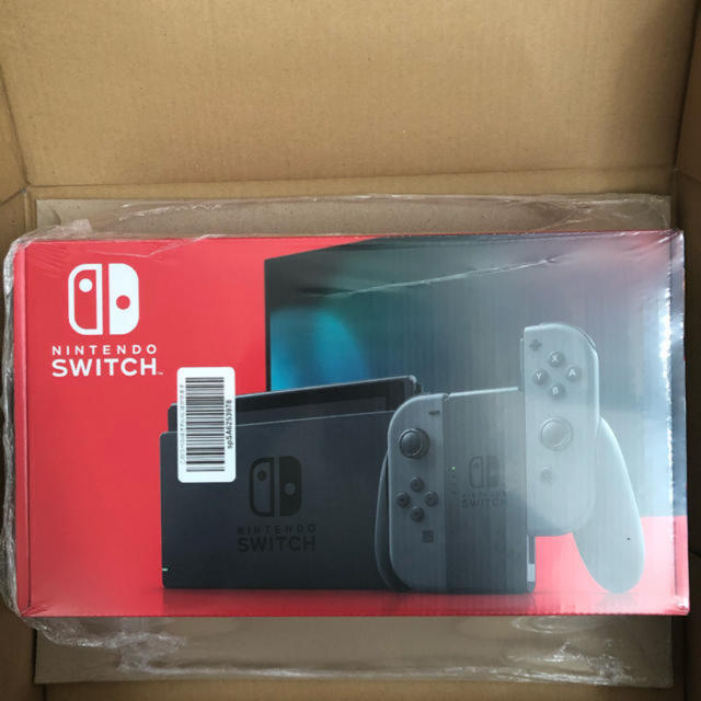 Nintendo Switch Grey ニンテンドー スイッチ グレー 任天堂