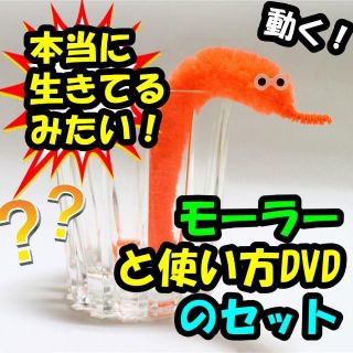 S9◆まるで生きてるみたい！◆マジック手品DVD◆下の動画必見(趣味/実用)