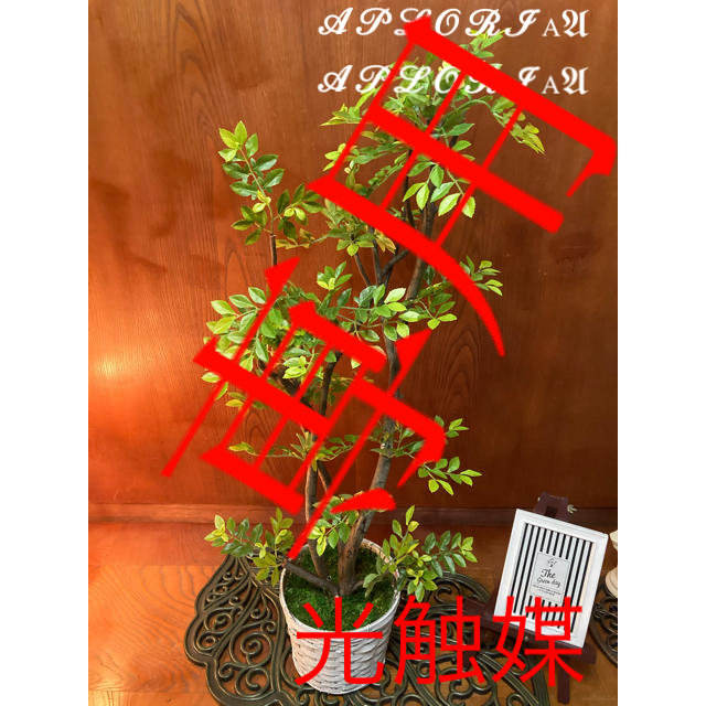 光触媒　人工観葉植物　抗菌消臭　ウォールグリーン　ゴールデンリーフ11350