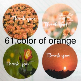 61.color of orange【thank you シール48枚】(カード/レター/ラッピング)