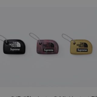 シュプリーム(Supreme)のsupreme×the northface keychain (キーホルダー)