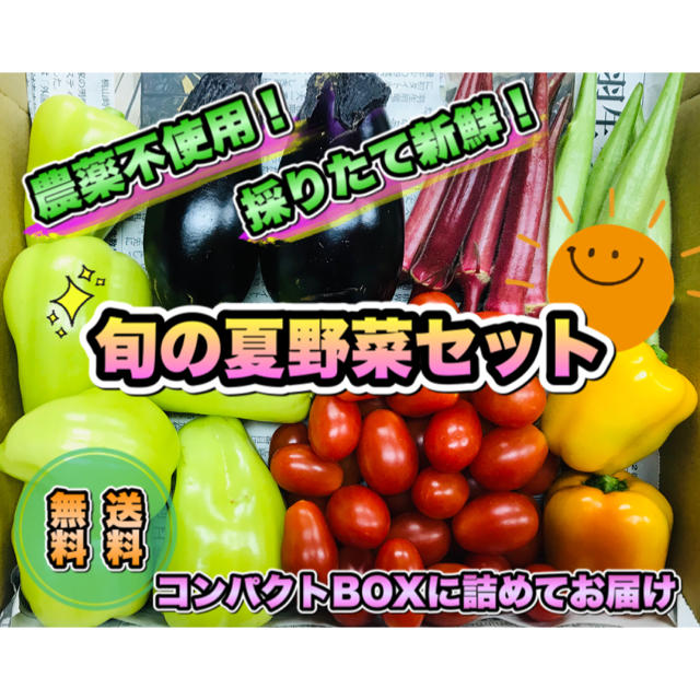 採りたて新鮮✧*。夏野菜コンパクトセット　〜畑からの直送便〜　無農薬 食品/飲料/酒の食品(野菜)の商品写真