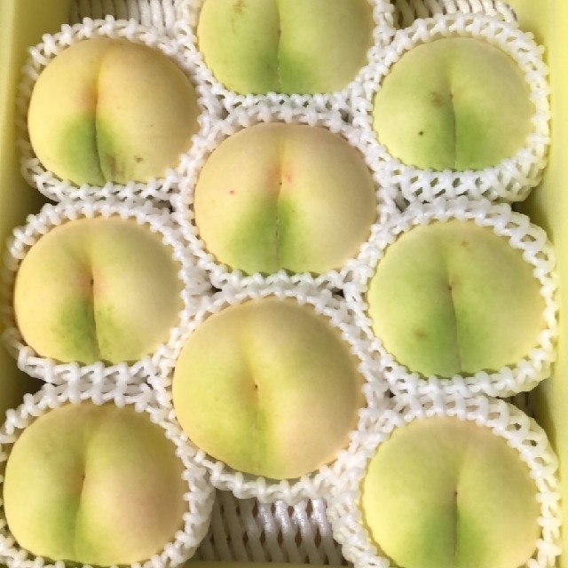 岡山県産清水白桃 食品/飲料/酒の食品(フルーツ)の商品写真
