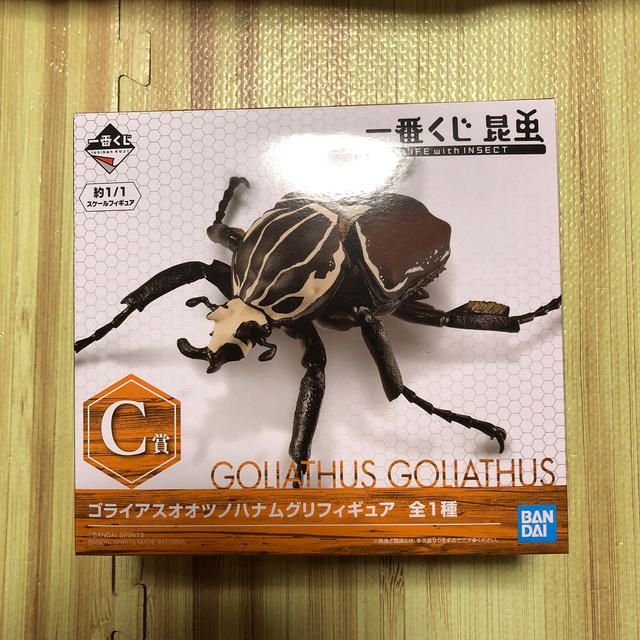 『2年保証』 BANDAI - ゴライアスオオツノハナムグリ C賞 昆虫 一番くじ 生き物
