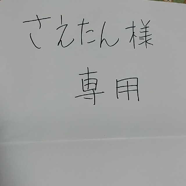 限定セール!】 さえたん様専用 本 - ネット販売済み - zaragoza-slp
