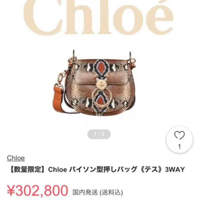 Chloe(クロエ)の【限定品★値下げ中】クロエ　テス　パイソン型押しモデル レディースのバッグ(ショルダーバッグ)の商品写真