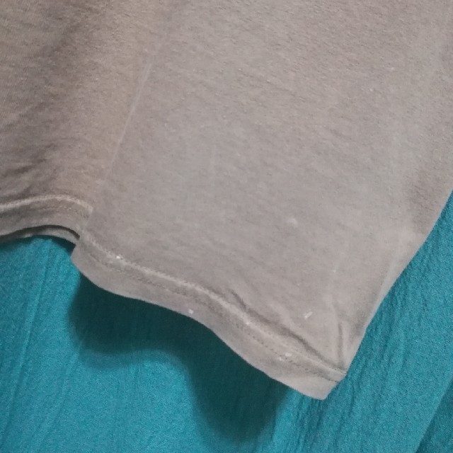 古着 アニマル ビッグT メンズのトップス(Tシャツ/カットソー(半袖/袖なし))の商品写真