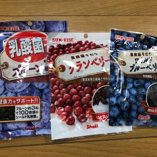 正栄食品 株主優待 ドライフルーツ3種 プルーン・クランベリー・ブルーベリー(フルーツ)