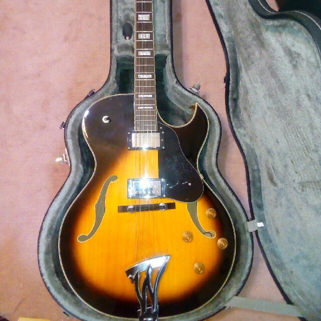 Washburn J-3 ハードケース付き Washburn J-3 ハードケース付き