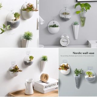 新品【送料無料】丸/壁掛けマットハンギング/鉢植/花瓶/観葉植物/グリーン(その他)