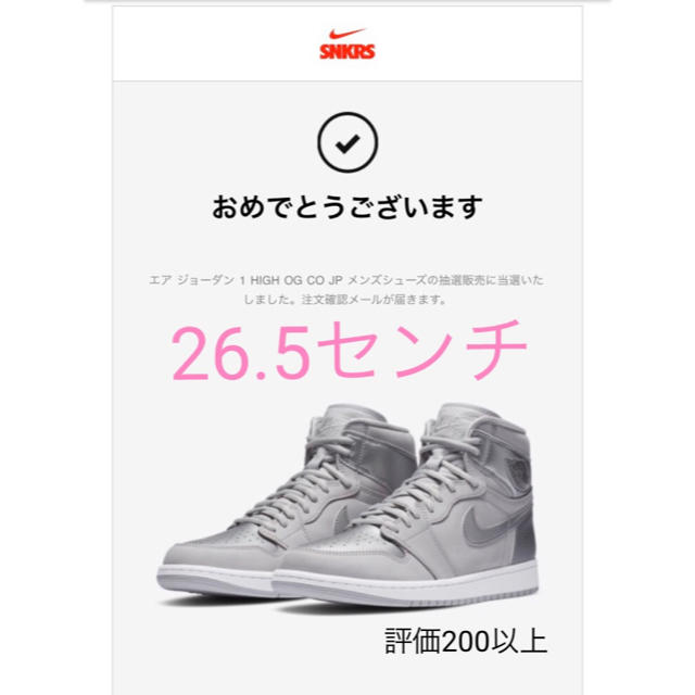 NIKEナイキ エアジョーダン1