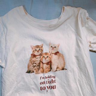 ロキエ(Lochie)のネコチャンTシャツ(Tシャツ(半袖/袖なし))