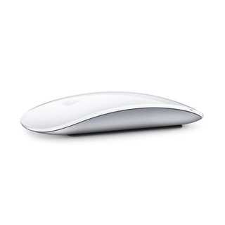 アップル(Apple)のMagic Mouse 2 - シルバー(PCパーツ)